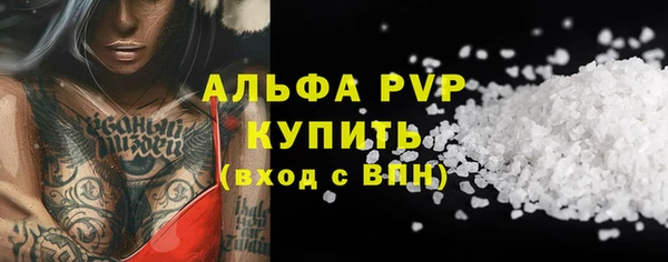 индика Балахна