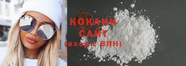 индика Балахна