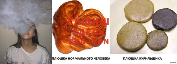 шишки Баксан