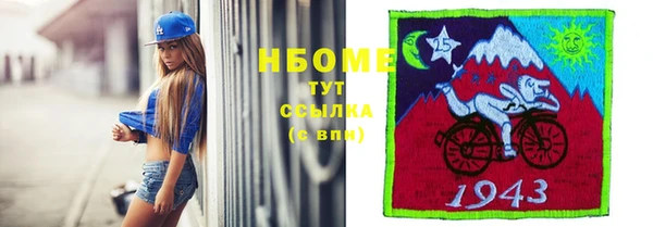индика Балахна
