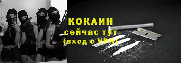 индика Балахна