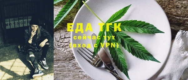 ГАЛЛЮЦИНОГЕННЫЕ ГРИБЫ Вязники