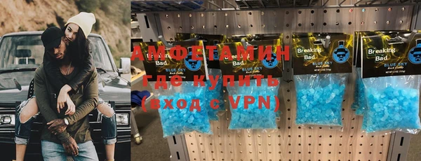 индика Балахна