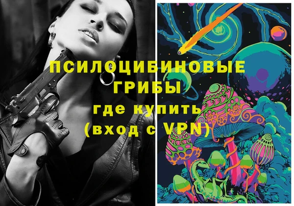 индика Балахна