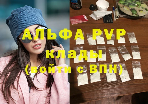 индика Балахна