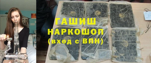 индика Балахна