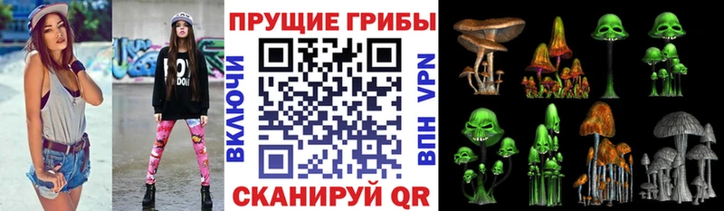 Галлюциногенные грибы мухоморы  где продают наркотики  Куйбышев 